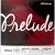 D'addario Prelude brácsahúr D, medium